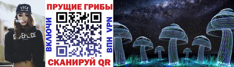 Галлюциногенные грибы Cubensis Бронницы